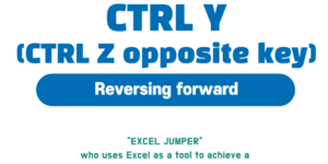 CTRL Z 실행취소 키 CTRL Y 를 설명하겠습니다.